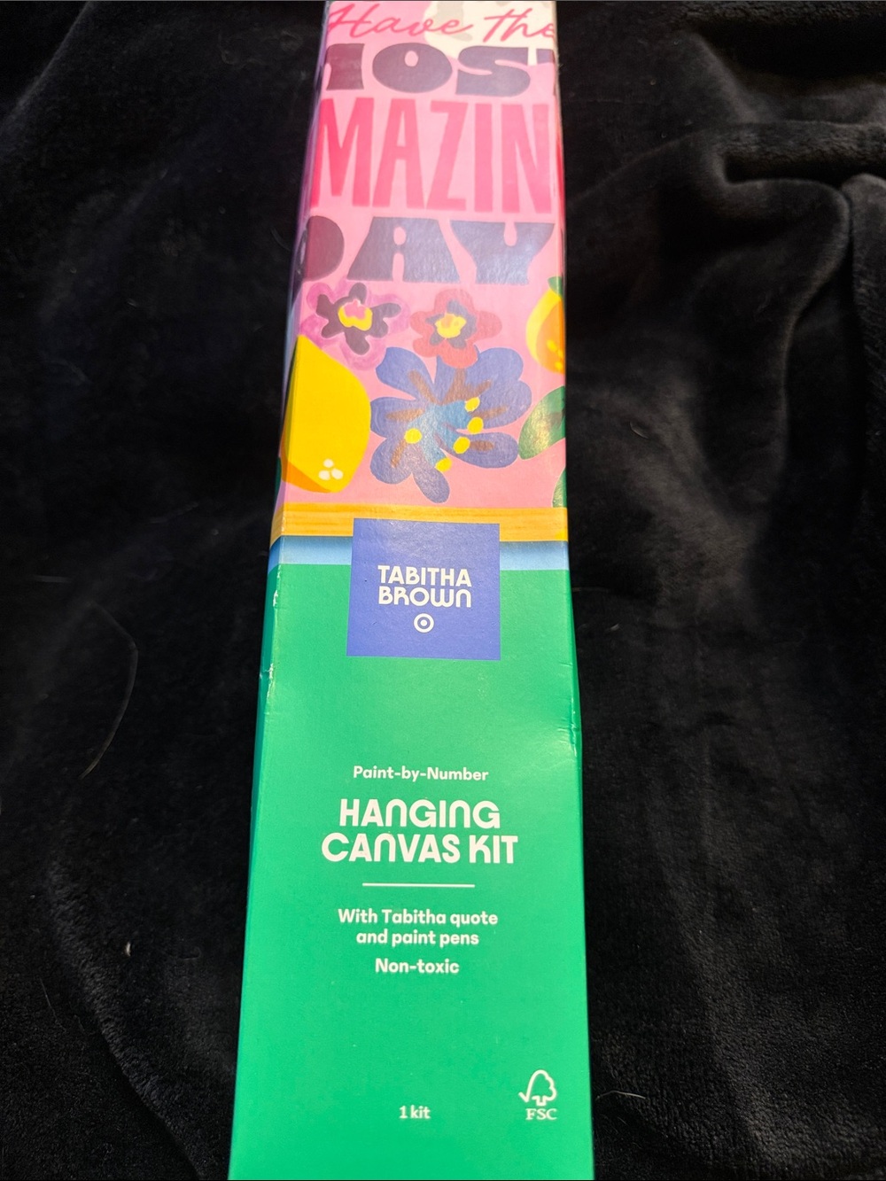 Target Tabitha Brown Floral Hanging Canvas Kit - Pink, Green, Yellow